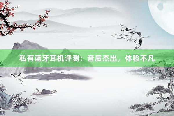 私有蓝牙耳机评测：音质杰出，体验不凡